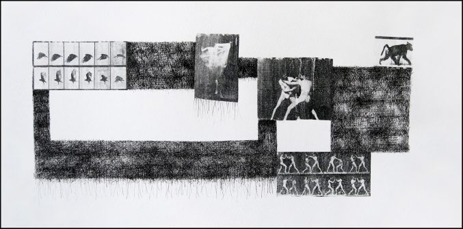 Muybridge ink drawing